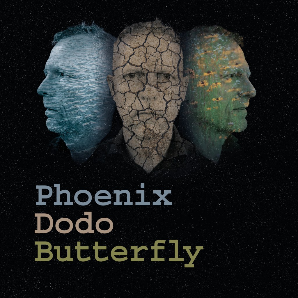 Phoenix Dodo Butterfly